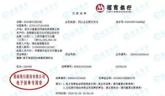 解放軍 醫(yī)療工作隊(duì) 央企互聯(lián)網(wǎng)企業(yè) 武漢 我們來(lái)了