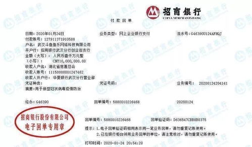 解放軍 醫療工作隊 央企互聯網企業 武漢,我們來了