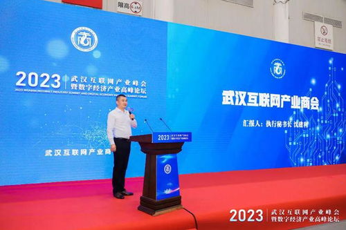 武漢互聯(lián)網產業(yè)峰會暨數(shù)字經濟產業(yè)高峰論壇圓滿舉行，引領企業(yè)網站創(chuàng)新與變革